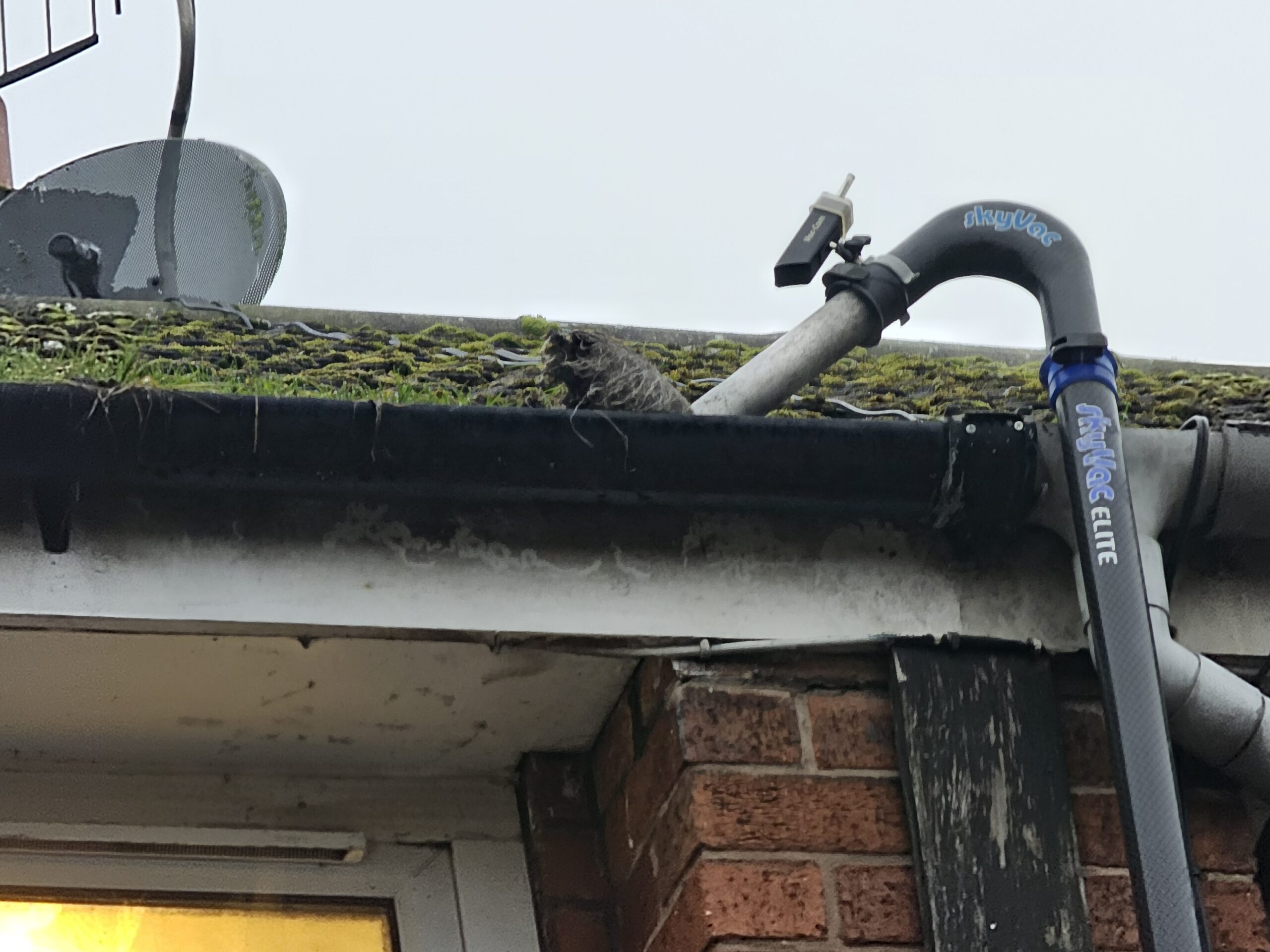 Gutter Cleaning in Stoke-on-Trent