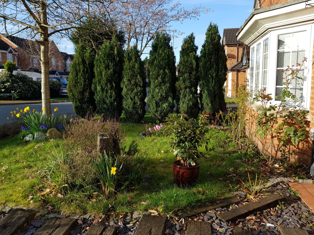 Garden Maintenance - before