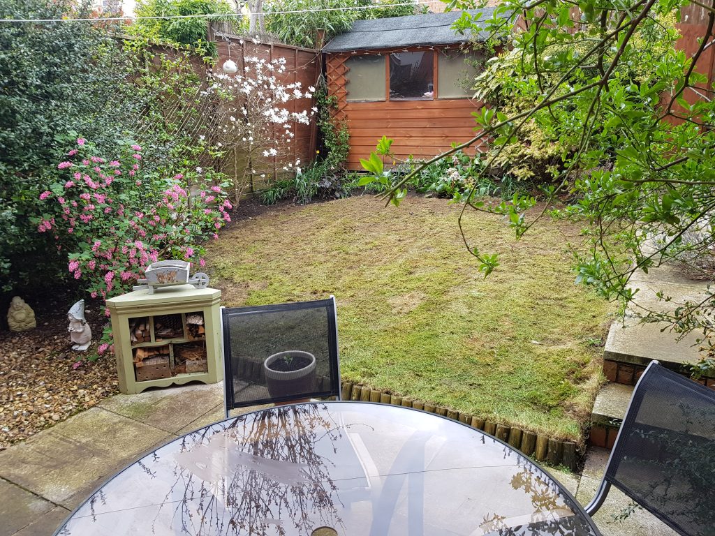 Garden Maintenance - after