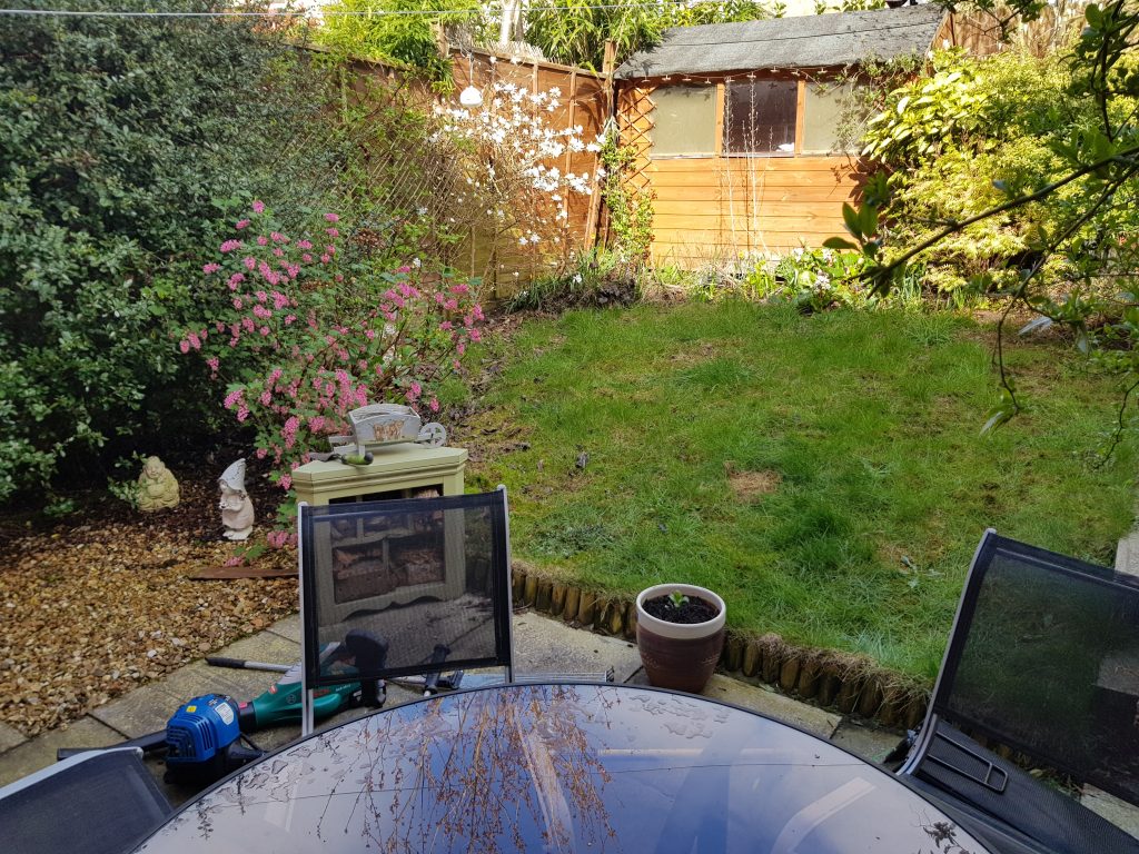 Garden Maintenance - before