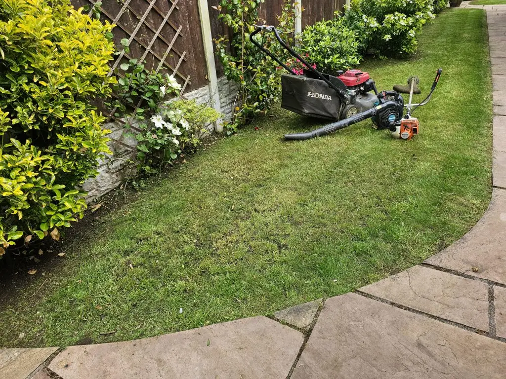 Garden Maintenance