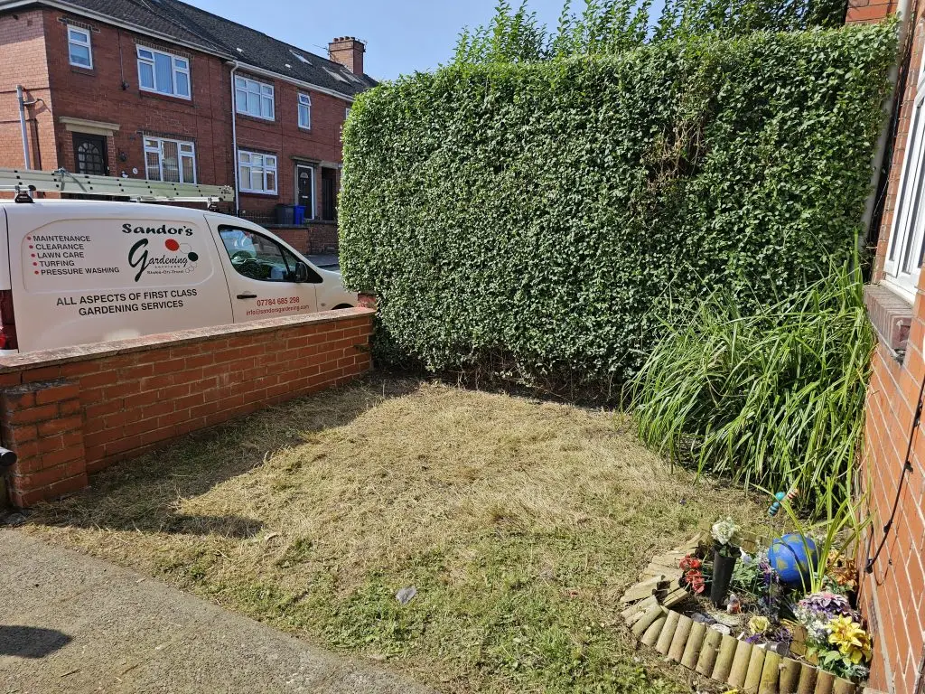 Garden Maintenance for an overgrown garden - after