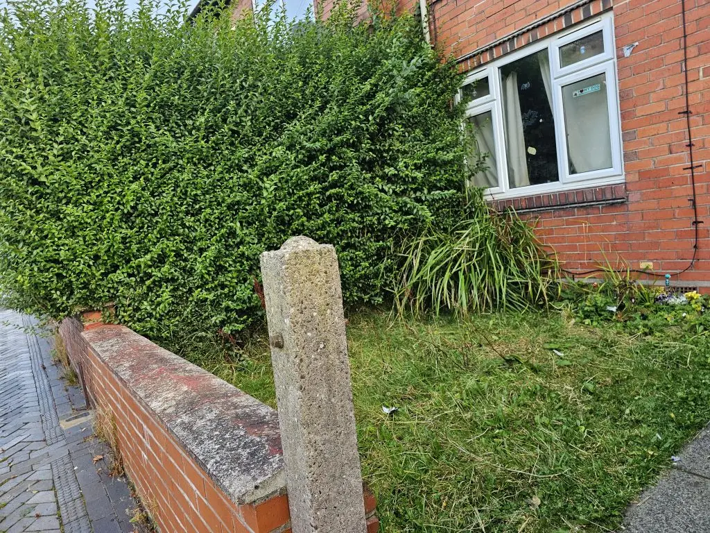 Garden Maintenance for an overgrown garden - before