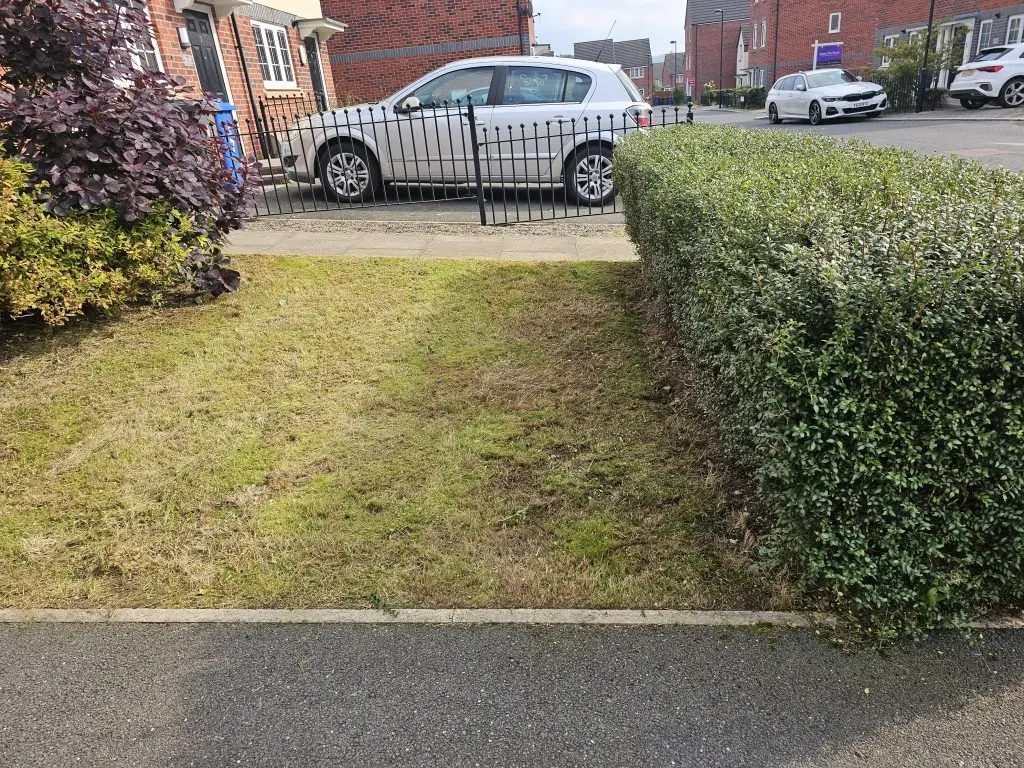 Garden Maintenance for an overgrown garden - after