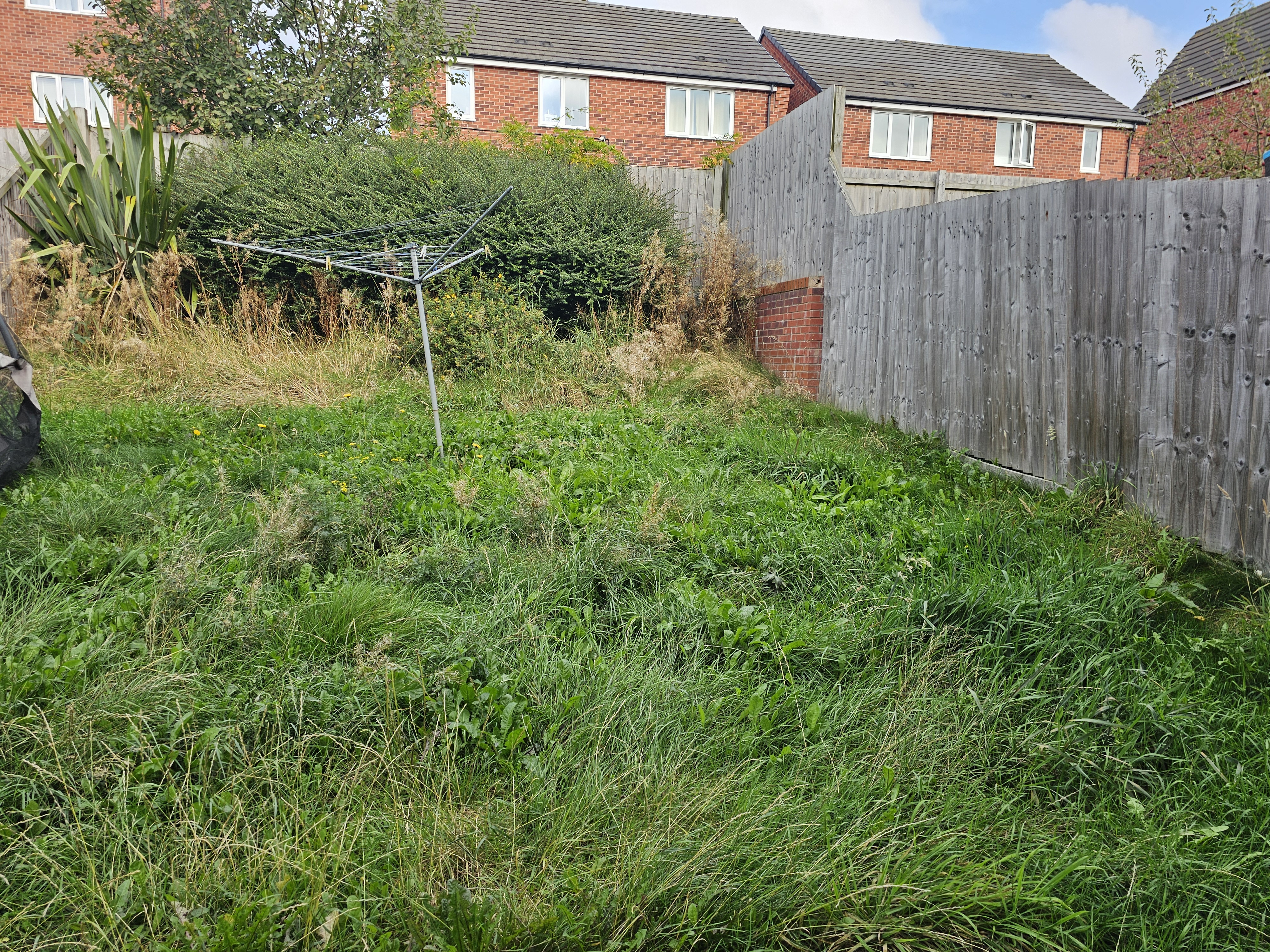 Garden Maintenance for an overgrown garden - before