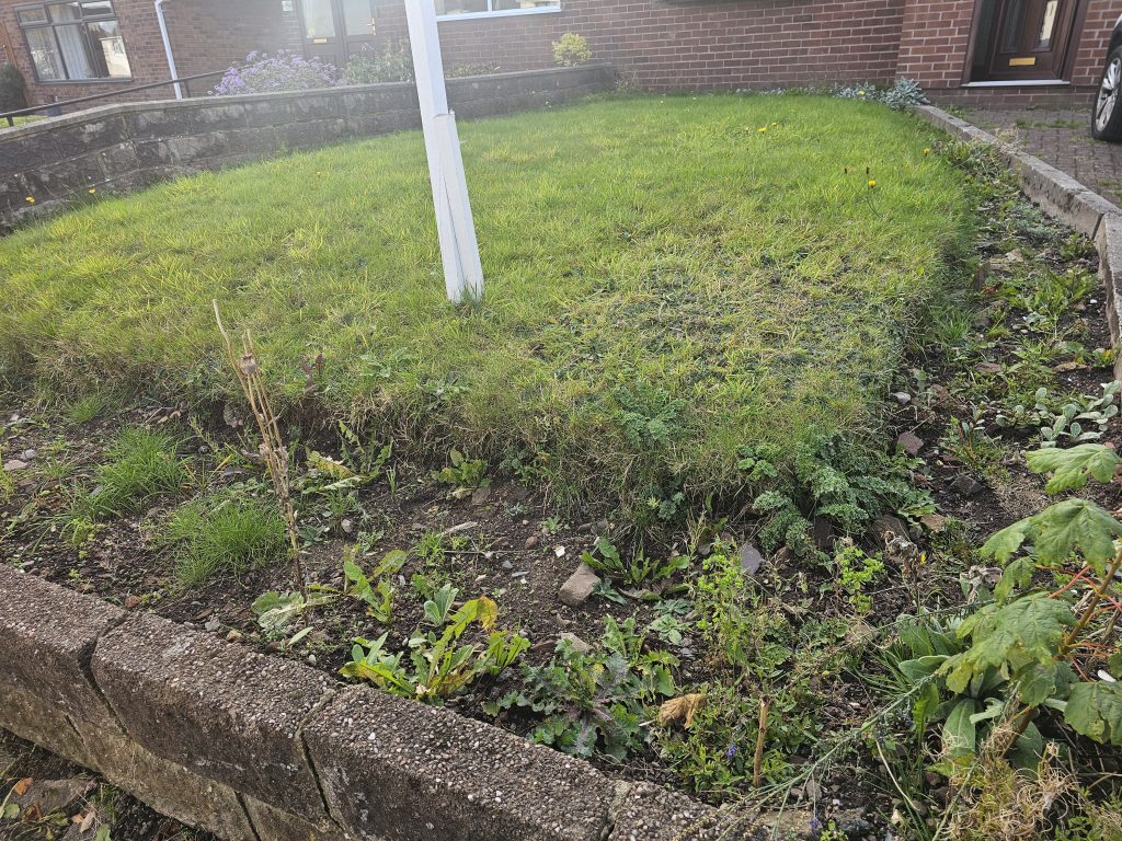 Border Controll - before