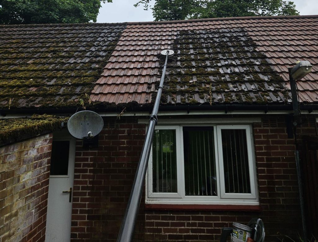 Roof Cleaning by Steam