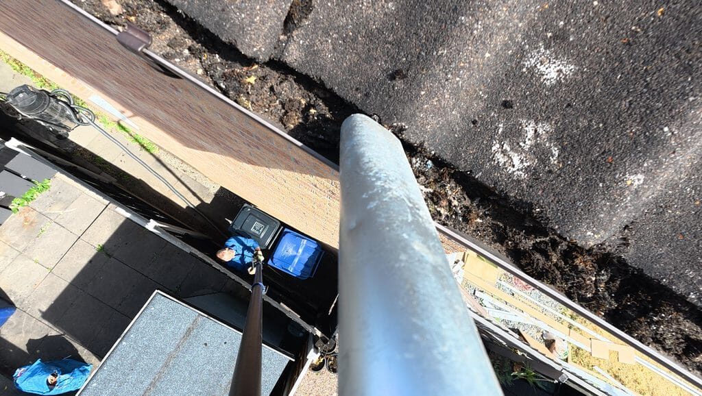 What's Hiding in Your Gutter